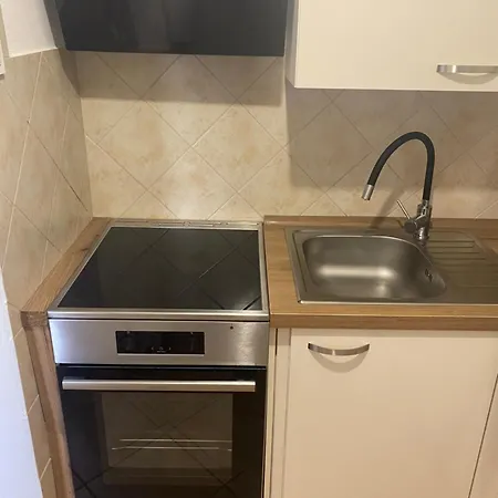 Vineyard Rigelj Apartment Dolenjske Toplice