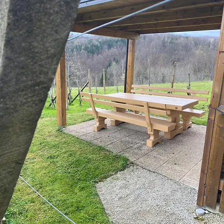 Apartma Vineyard Rigelj