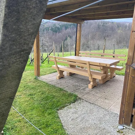 Apartment Vineyard Rigelj