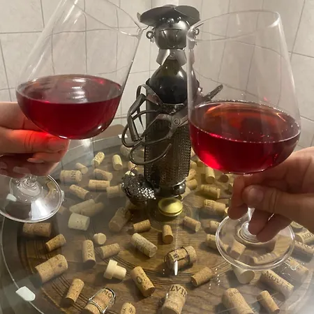 Apartma Vineyard Rigelj Dolenjske Toplice