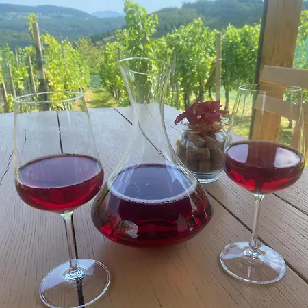 Vineyard Rigelj Apartment *