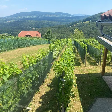 Apartment Vineyard Rigelj *