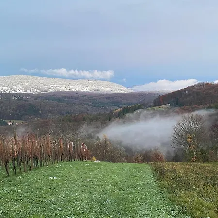 Apartma Vineyard Rigelj Dolenjske Toplice