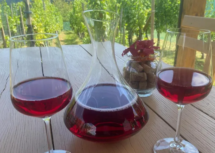 Vineyard Rigelj דירה *