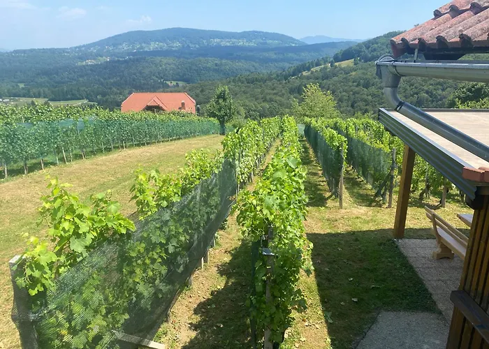 דירה Vineyard Rigelj *