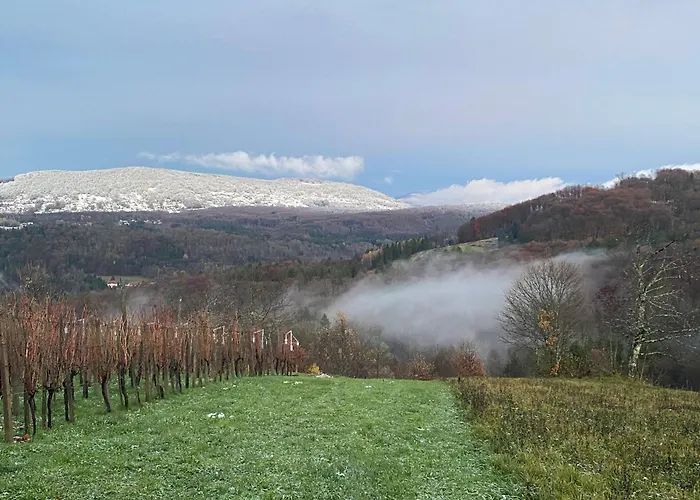 דירה Vineyard Rigelj דולנז'סקה טופליסה